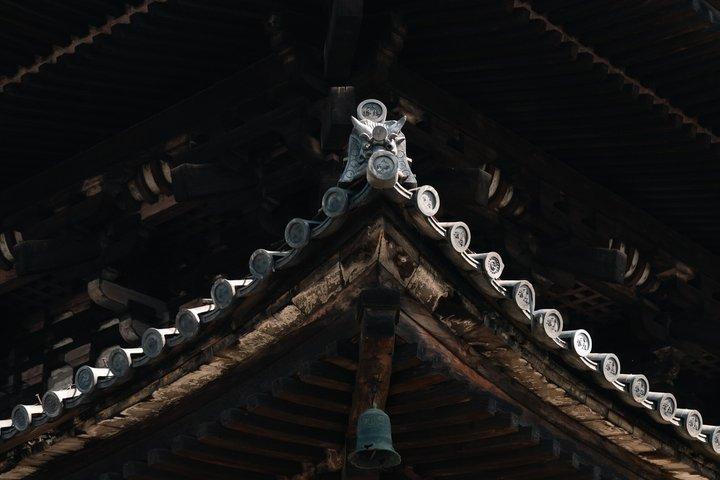 Gion & Higashiyama with a private Tourguide in German or English