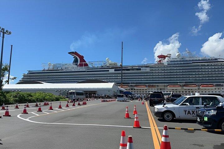 Tokyo Cruise Port Private Transfer to Hotels & Airports (HND/NRT)