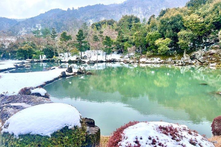 Bamboo Grove Temple and Garden Views Tour