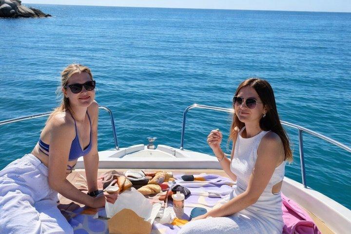 Private boat rental without title dolphin watching