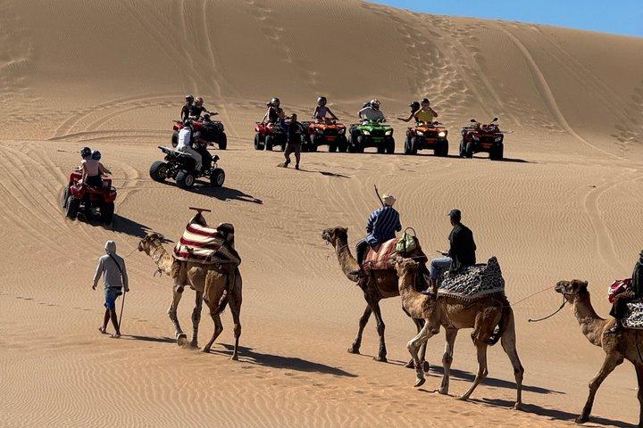 Agadir Taghazout Quad Bike and Camel riding Desert and Beach