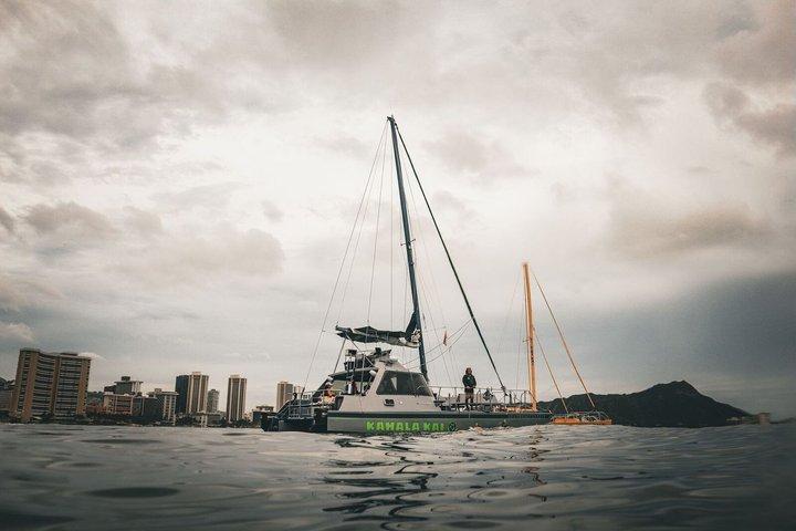 Oahu Catamaran Snorkel Tour: See Turtles 100% Guaranteed