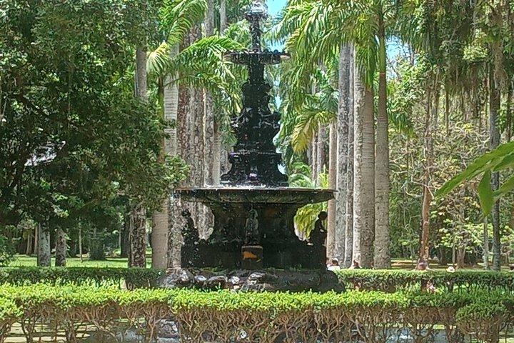 Botanical Garden of Rio de Janeiro