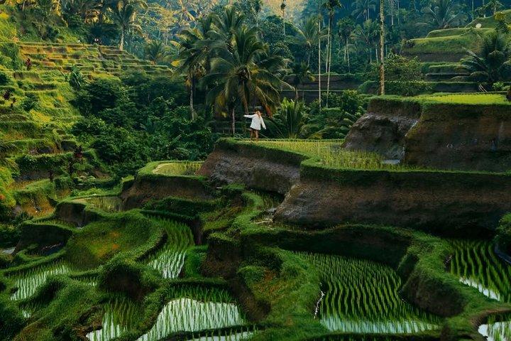 Ubud Private Tour: Bali Hidden Gems, Temples & Rice Terraces