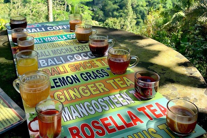 Ubud Private Tour: Bali Hidden Gems, Temples & Rice Terraces