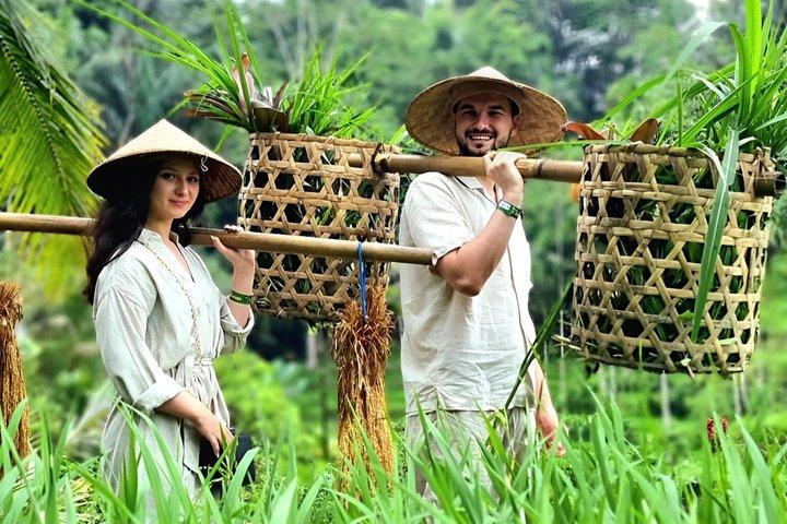Ubud Private Tour: Bali Hidden Gems, Temples & Rice Terraces