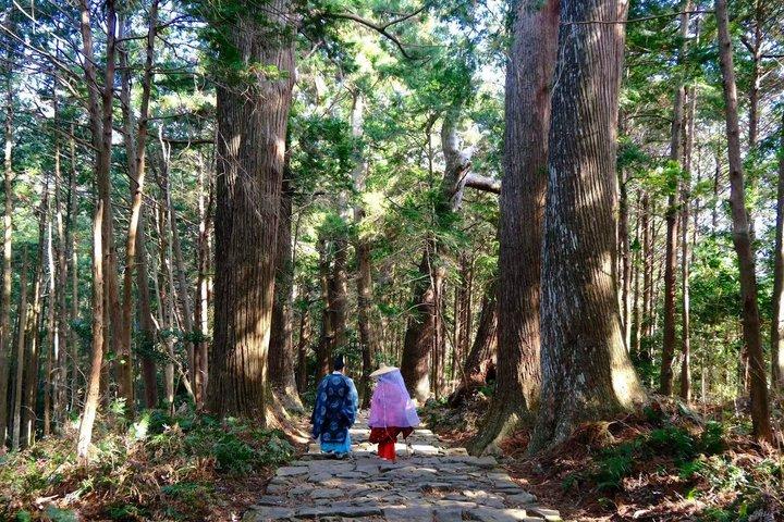 UNESCO Kumano Kodo: Complete 3 Grand Shrines & Nachi Hike