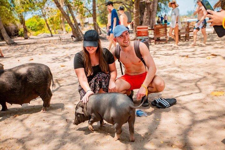 Private Speedboat Koh Tan & Pig Island Snorkeling from Samui