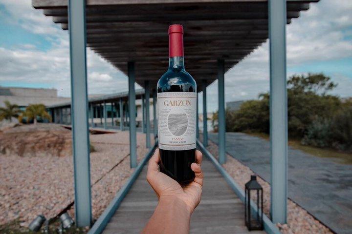 Bodega Garzon Wine Experience with Private Transfer