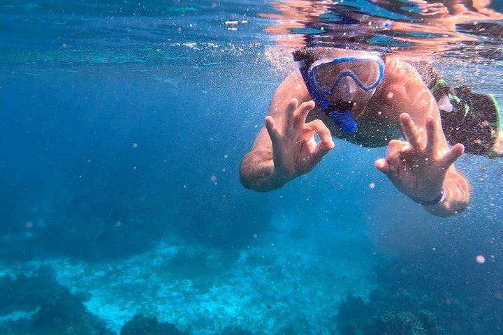 Special Ponta da Piedade with Snorkeling Experience