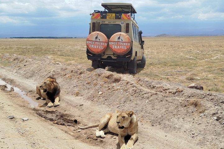 2 Day Magical Masai Mara Fly in Safari