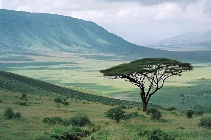 4 Day Mid Range Safari and visit to the Maasai