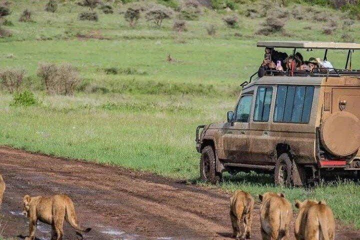 4 Day Mid Range Safari and visit to the Maasai