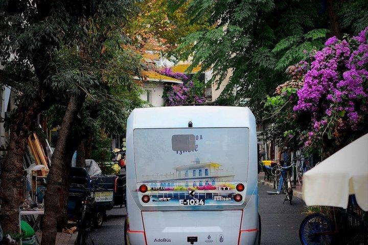Princes Islands Tour from Istanbul with Lunch and Hotel Pickup