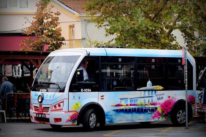 Princes Islands Tour from Istanbul with Lunch and Hotel Pickup