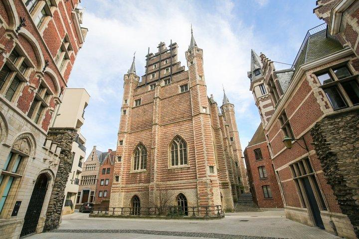 Private Tour: Antwerp Highlights & Cathedral in 4 Hours