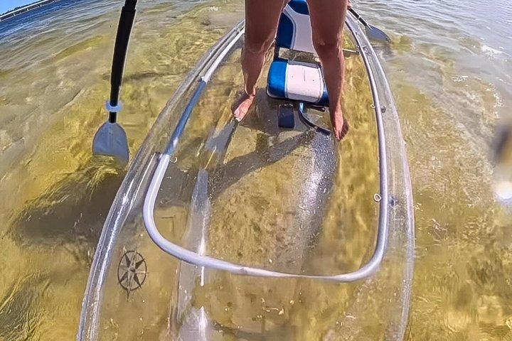 Clear Kayak Eco Tours on Lake Powell