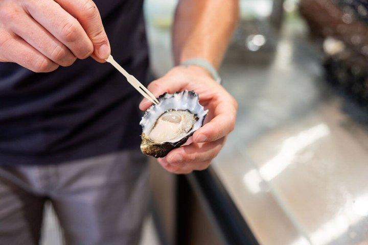 Sydney Fish Market Discovery Tour