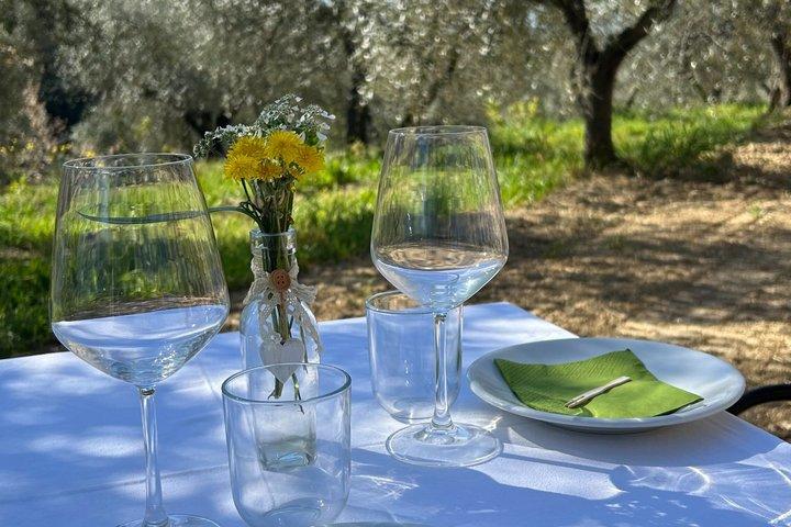 Tuscan Olive Oil Experience at a Family Mill