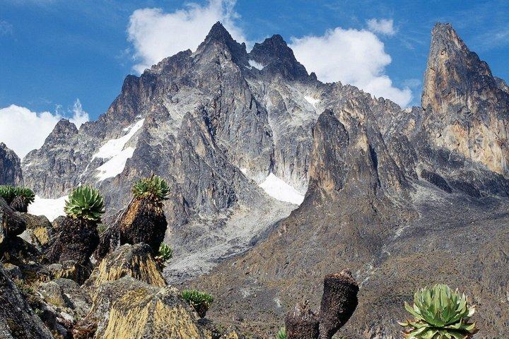 Mount Kenya Day Hike with Lunch
