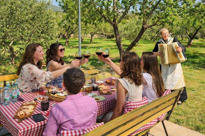 Authentic Dalmatian Wine & Olive Oil Tasting - Live Music & View