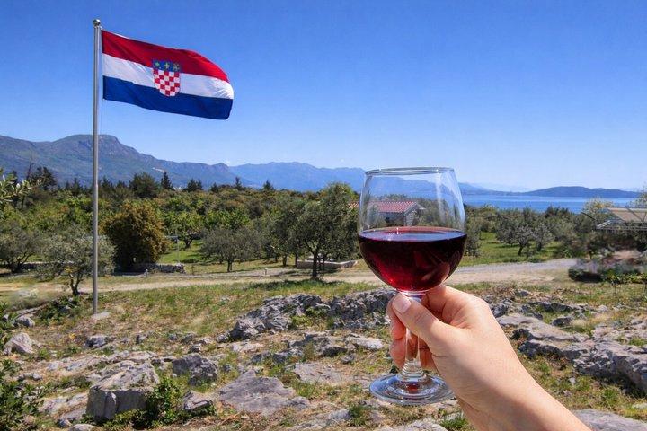 Authentic Dalmatian Wine & Olive Oil Tasting - Live Music & View