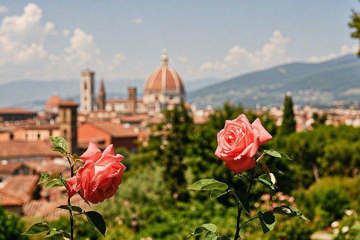 Florence Countryside: eBike Tour Virtual-guided