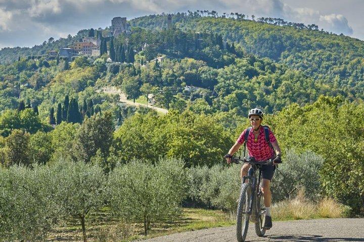 San Gimignano: eBike Tour Virtual-Guided