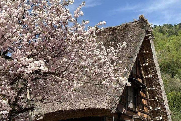Takayama and Shirakawa-go Day Tour from Nagoya