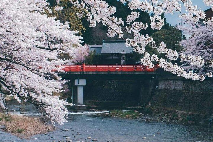 Takayama and Shirakawa-go Day Tour from Nagoya