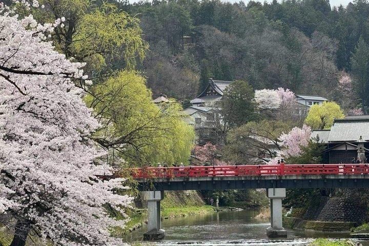 Takayama and Shirakawa-go Day Tour from Nagoya