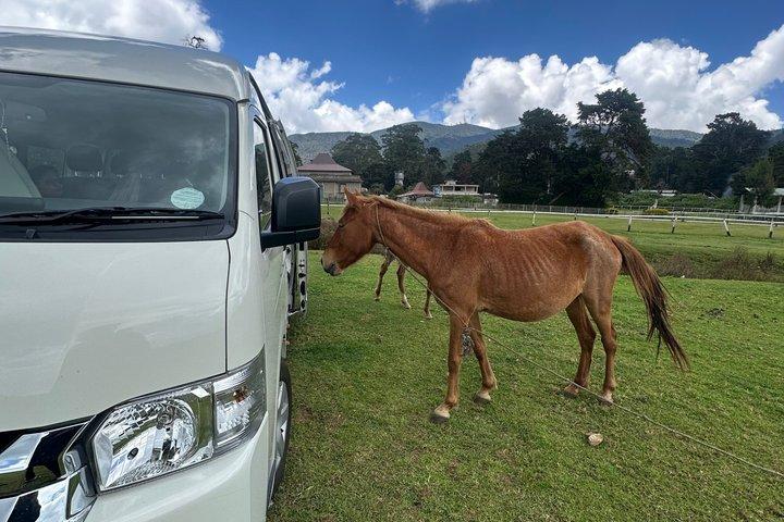 Sri Lanka 3 to 15 Days Tour with Driver | Sri Lankan Vibe Tours