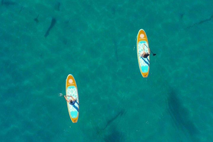 Emerald Cave Paddleboard Rentals Near Las Vegas at Willow Beach