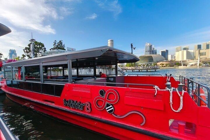 40 Minute Singapore River Cruise and 2 Light Shows Guided Tour