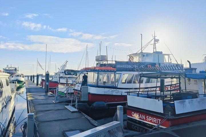 Full Day Fishing Trip on Auckland Waitemata Harbour