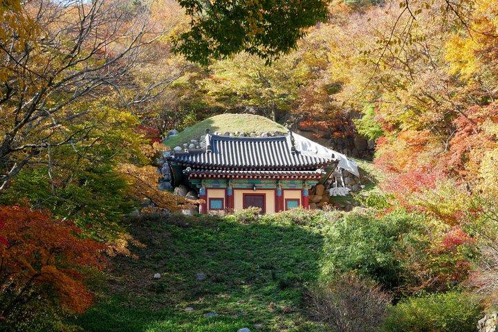 Gyeongju Silla Heritage with Seokguram Grotto Day Tour from Busan