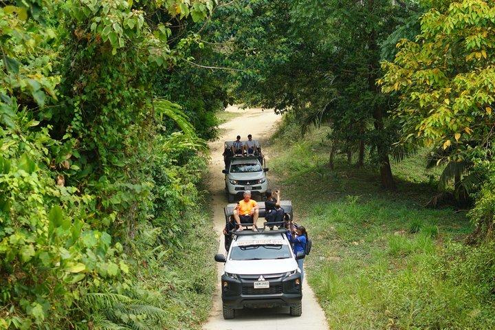Jungle Zipline Adventure: 10 Cables, Tree Bridge Bar & Sea Views
