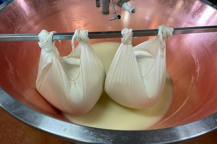Modena Private Tour of Organic Parmigiano Reggiano with Tasting