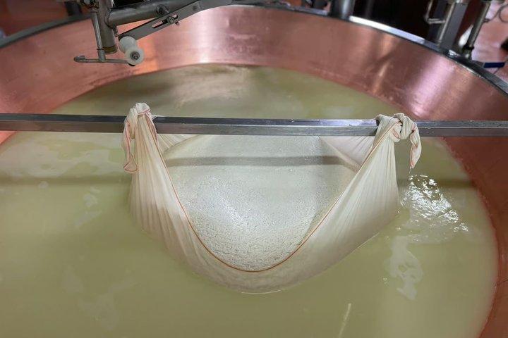 Modena Private Tour of Organic Parmigiano Reggiano with Tasting