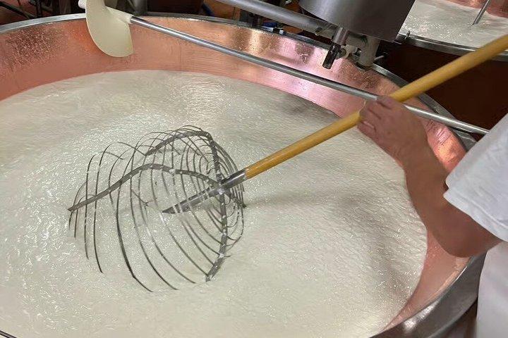 Modena Private Tour of Organic Parmigiano Reggiano with Tasting