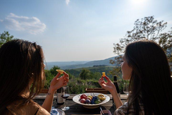 Florence: Chianti Wine Experience