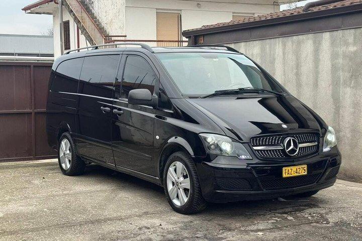 Private Olympia Tour from Katakolon by Mini Van(1-8person)