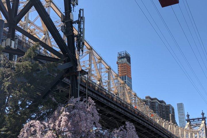 Roosevelt Island Tramway and Self Guided History Tour
