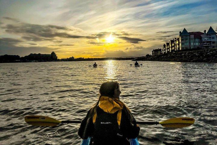 Victoria Harbour Sunset Kayak Tour