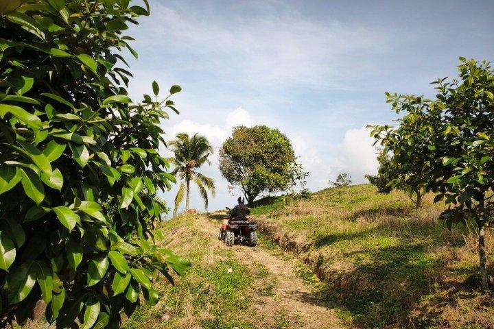 Koh Samui ATV Quad Bike Tour - Jungle Off-Road Adventure