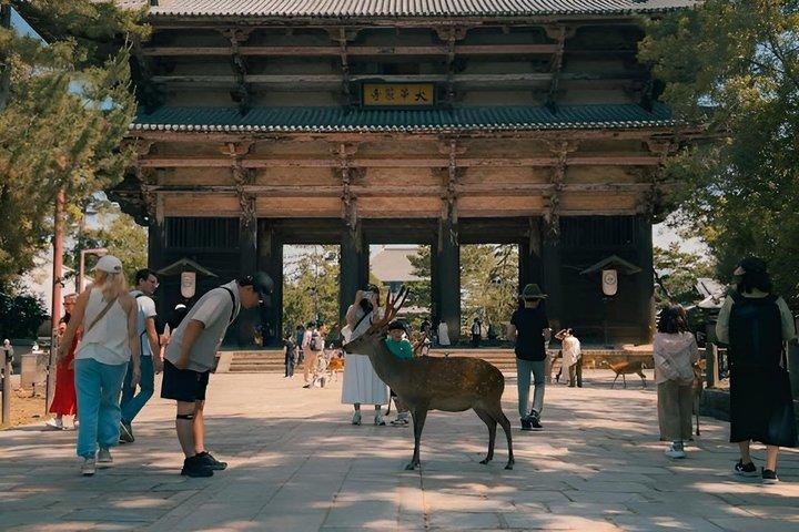 Experience Culture History and Landmarks in Kyoto Nara