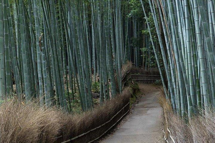 Experience Culture History and Landmarks in Kyoto Nara