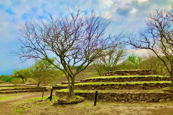 Guachimontones Circular Pyramids: Half-Day Fully-Private Tour