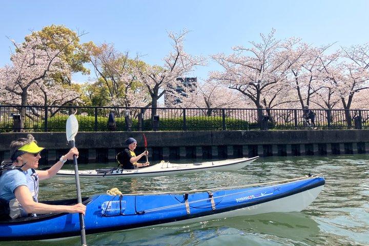 Osaka City Kayak Tour