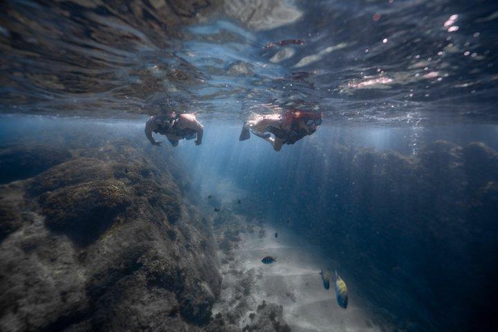 Private Cabo Snorkel Tour to Chileno Bay and Santa Maria Cove